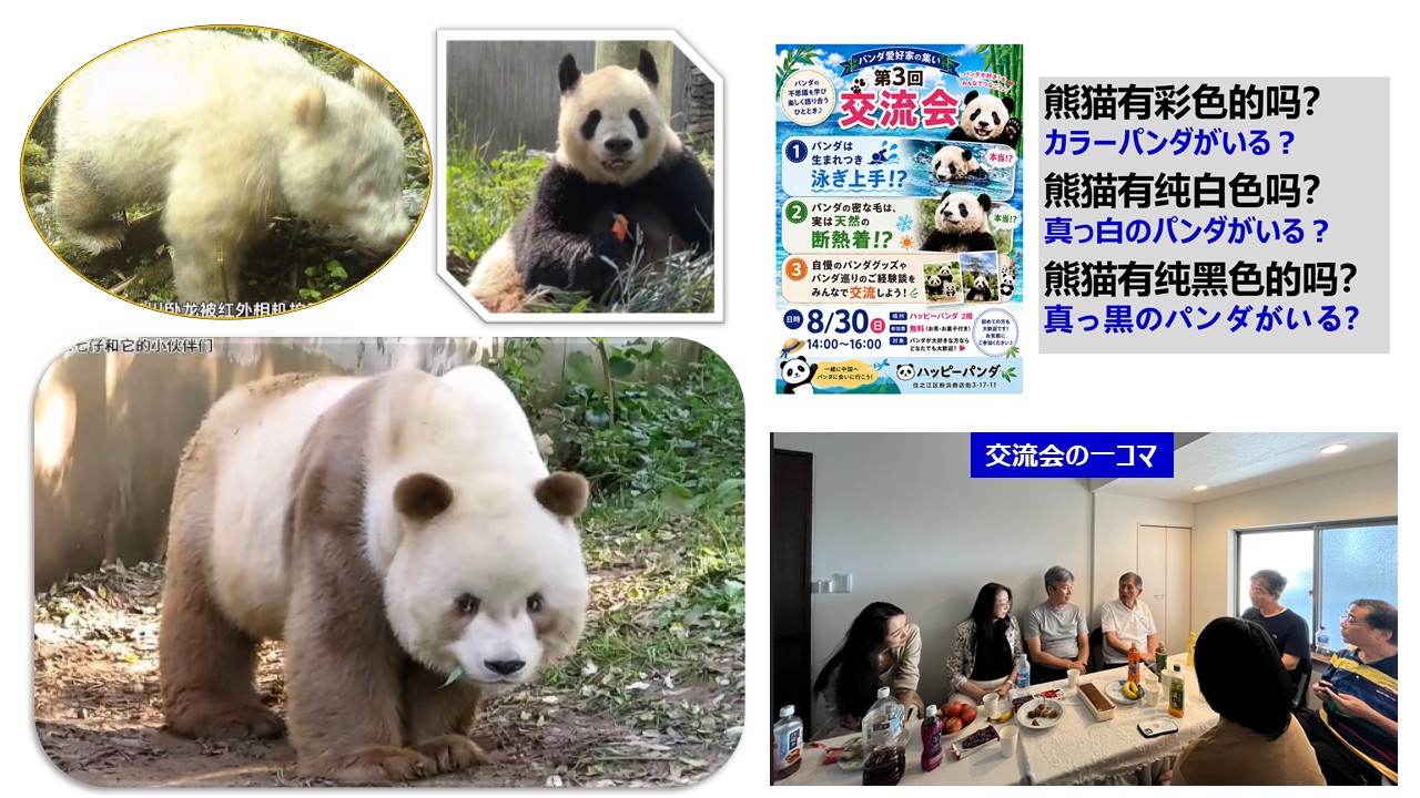 熊猫为媒、友谊相连——第三次熊猫友好交流会圆满结束